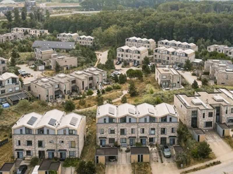 Housing & Homelessness
